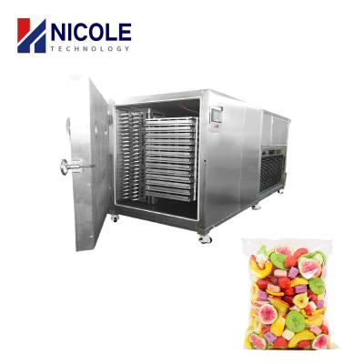 China Low Temp Vacuum Drying Food Freeze Dryer Machine High Efficiency for sale
