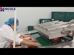 Auto Industrial Vacuum Sealer Packaging Machine Multifunctional