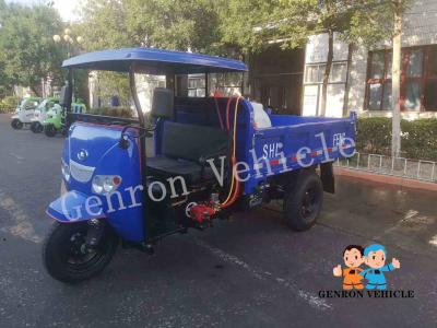 China Genron 3 Wheel Transport Cargo 251w Diesel Trike for sale