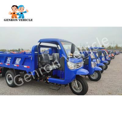 China 60km Genron 5 Tons Diesel Tricycle With Rear Axle Drive for sale