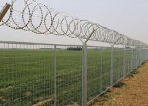 China Razor Wire for sale