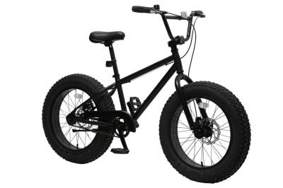 China 20 Inch BMX Fat Tire Bicycle Hi-Ten Steel Frame 8 Speed for sale