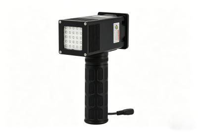 China Tragbare 365-nm-UV-Taschenlampe zur Erkennung von Autolacken zu verkaufen