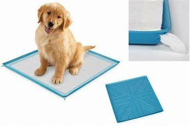 China 35g Extra Large Dog Diaper Mat Puppy Training Pee Pads 60*45CM for sale