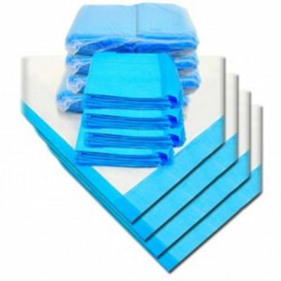 China 1500ml Disposable Puppy Pads Extra Large Puppy Training Pads M 60x45cm for sale