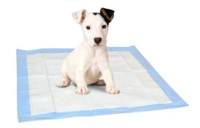 China Disposable Indoor Dog Pee Pad 1500mlAbsorbable Pets At Home Puppy Pads M 60x45cm for sale