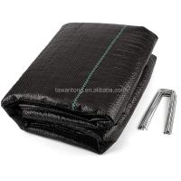 Quality Design Style Green Line Black Plastic PP Woven Geotextile Anti Weed Mat for for sale