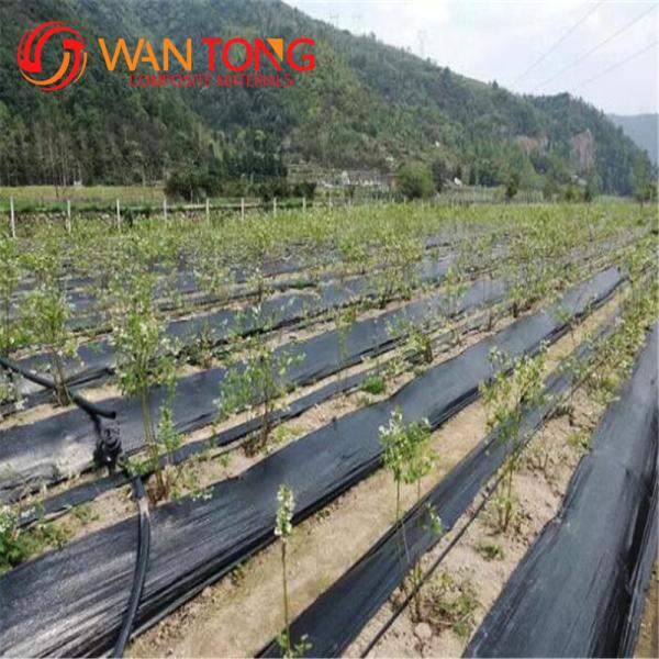 Quality CE Certified 100% PP High Strength Woven Silt Fence Fabric Geotextile for for sale