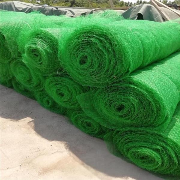 Quality 3D Geomat Erosion Control Mat for Slope Greening Protection in Chinese Design for sale
