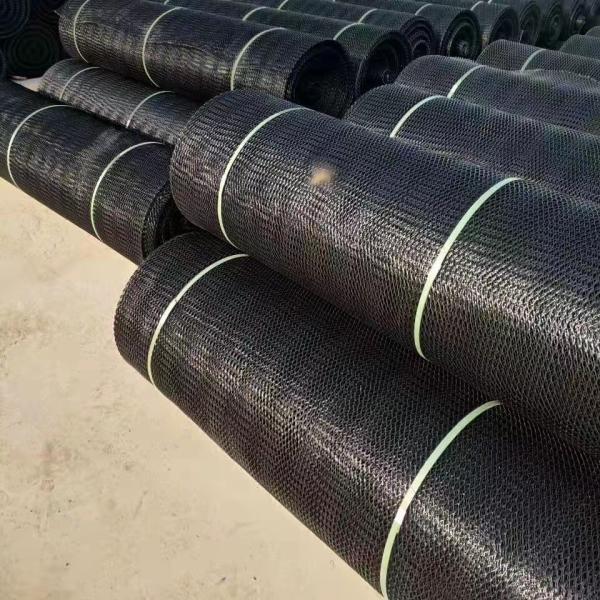 Quality Chinese Design Style Erosion Control Mat 3D Geomat Black Plastic Geomat from for sale