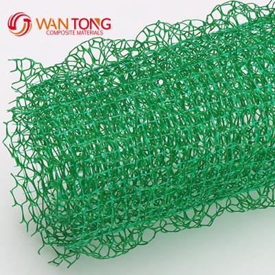 China CE/ISO9001/ISO14001 Certified Plastic 3D Vegetation Net Grass Paver Geonet for Slope Protection for sale