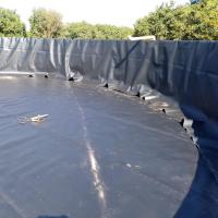 Quality 100% Virgin HDPE LLDPE Fish Pond Waterproof Geomembrane HDPE Rolls for Shrimp for sale