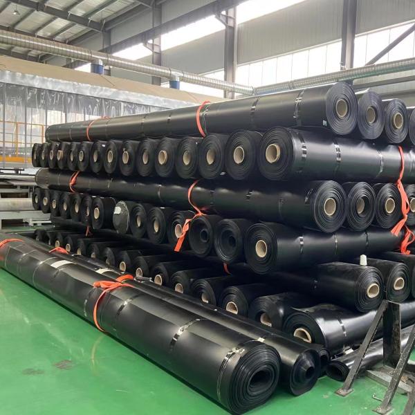 Quality 100% Virgin HDPE LLDPE Fish Pond Waterproof Geomembrane HDPE Rolls for Shrimp for sale