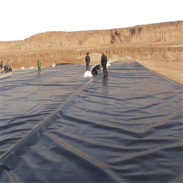 Quality 100% Virgin HDPE LLDPE Fish Pond Waterproof Geomembrane HDPE Rolls for Shrimp for sale