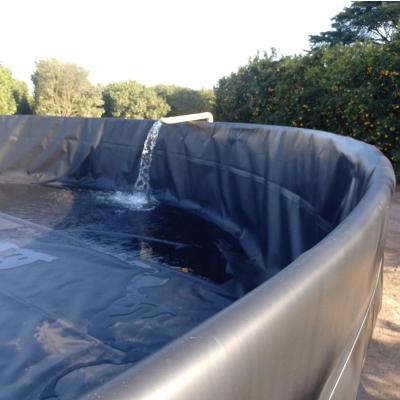 China Contemporary HDPE Geomembrane 0.5mm 0.75mm for Fish Pond Liner Distributor for sale