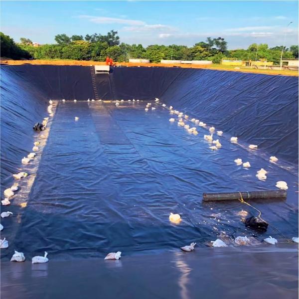 Quality 100% Virgin HDPE LLDPE Geomembrane Liner for Aquaculture Fish Farm in 0.5mm for sale