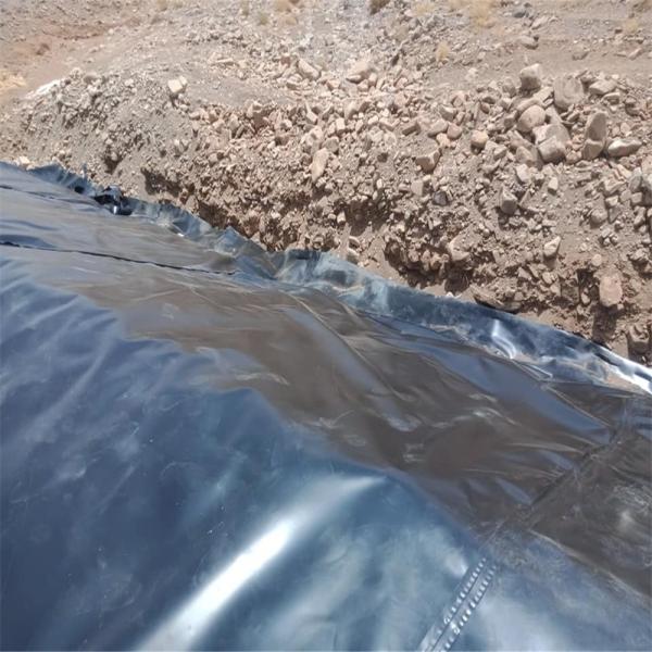 Quality Chinese Design Style Water Pond Plastic Polyethylene Geomembrane Liner for Fish for sale