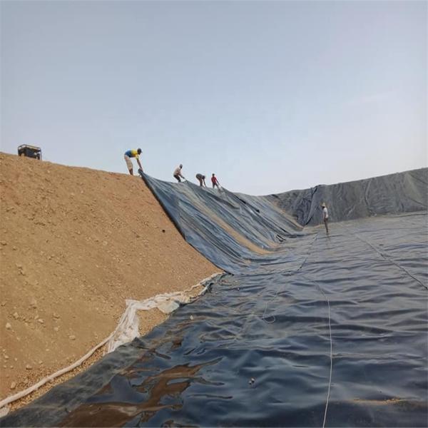 Quality Chinese Design Style Water Pond Plastic Polyethylene Geomembrane Liner for Fish for sale