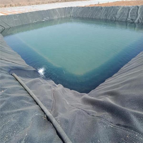 Quality Chinese Design Style Water Pond Plastic Polyethylene Geomembrane Liner for Fish for sale