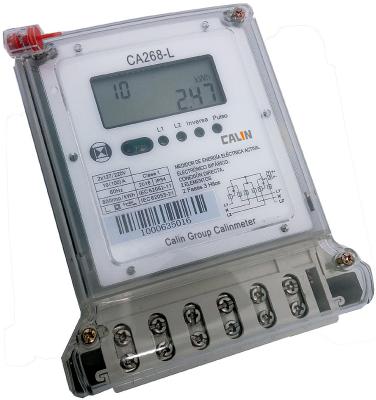 China BS Connection 2 Phase Electric Meter Compact Electric Power Meter for sale