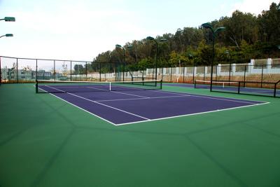 China 8mm Outdoor Tennis Court Flooring Silicon PU Painting  for sale