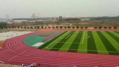 China Anti Spike Colorful Jogging Track PU Running Track With Iaaf Certificate for sale