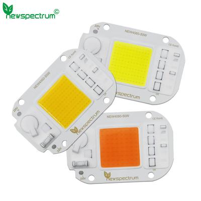 China 220v 50w Led Cob Chip 60 Hz For Hydroponic Flowers Greenhouse for sale