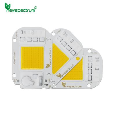 China Luminous Flux 250lm COB LED Module 40mm*60mm For Energy-Efficient lighting Solutions for sale