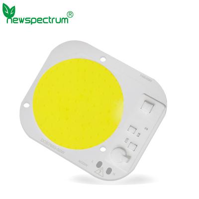 China AC50W Dob Led Module Light Source Linear Integrated High Voltage for sale