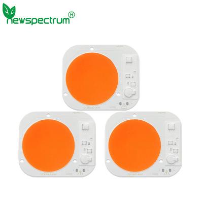 China High Lumens 50W Horticulture COB Round Cob Led Light For Spotlights for sale