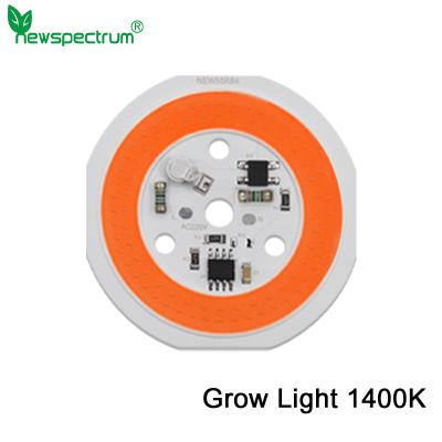 China Modulo LED 220V COB sem condutor Modulo LED branco quente de alto brilho à venda