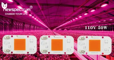 China 220V AC LED Module No Welding Chip Ac Cob Led For Indoor Plant Seedling Grow Lights for sale