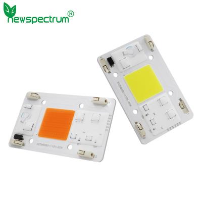 China AC110V AC COB LED 80W Full Spectrum Without Soldering Terminal for sale