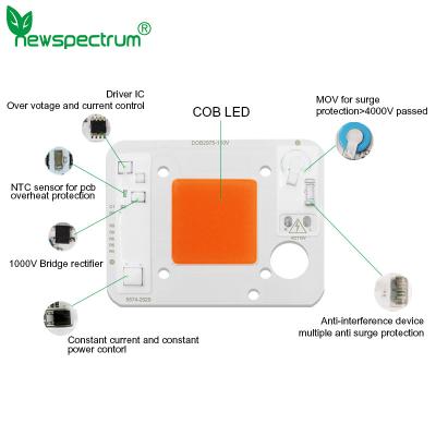 China MAZORCA del módulo del ODM LED de AC110V 50W LED Chip Pink con el conductor On Board en venta