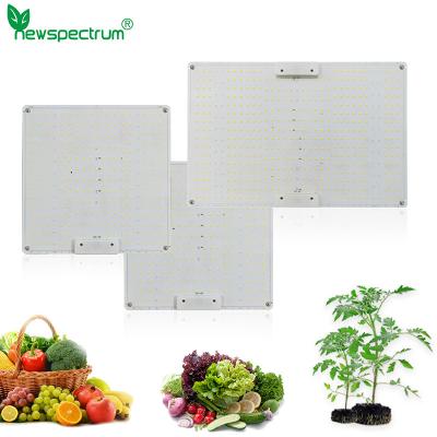 China High Brightness Horticulture SMD Chip 5000K Circuitry Design Led Grow Light for sale