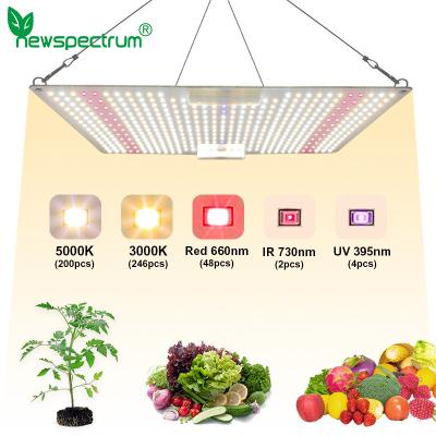 China 5000K LED Quantum Board 150w Grow Light 660nm For Plants Flowers for sale