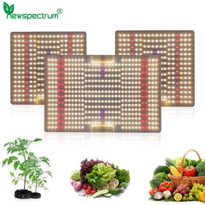 China 65w 100w Led Plant Light Switch Control For Flower And Vegetable Growth for sale