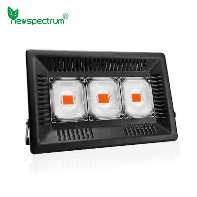 China 100w Led Cob Grow Lights Phytolamp Full Spectrum No Noise No Fan for sale