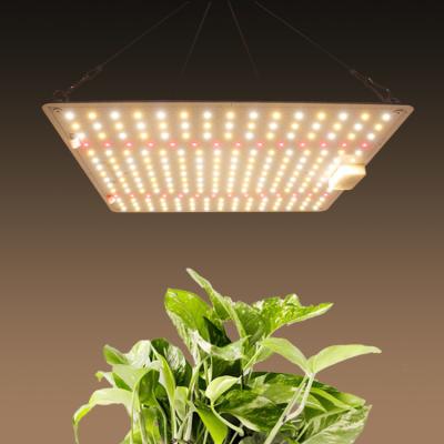 China El microprocesador lleno LED de la horticultura SMD del espectro 150W crece las luces para las plantas interiores en venta