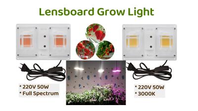 China Módulo de barra de luz LED à prova d'água com vida útil de 50000h Fluxo luminoso de 120 LM à venda
