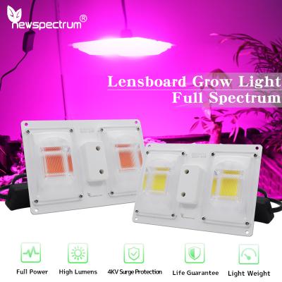 中国 高明るさ LED チップ 110V 220V 50W LED 植物の成長照明 特殊な照明性能のためのフルスペクトル -20- 50°C 販売のため