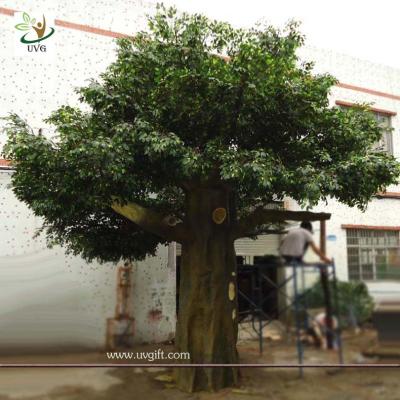 China UVG Durable and burly garden decoration plastic trees with silk artificial banyan leaves for sale