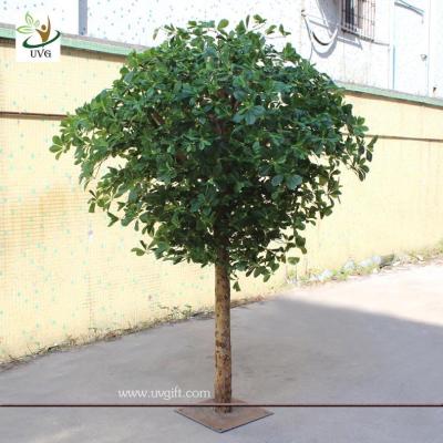 China UVG GRE024 Wholesale green artificial money tree plant for restaurant decoration 6ft high for sale