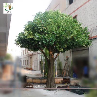 China UVG Artificial green christmas decoration tree with silk leaves for festival landscaping for sale