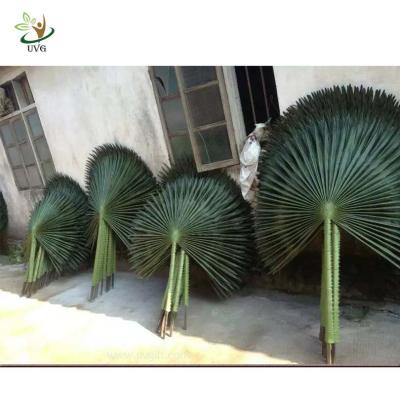 China UVG material uv fake palm fronds in silk leaves for outdoor watertown landscaping PTR042 for sale