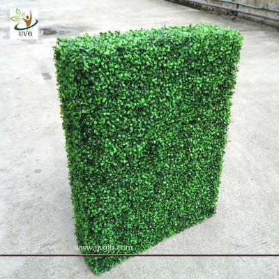 China UVG GRS03 indoor decorated plastic artificial boxwood hedge for party landscaping for sale