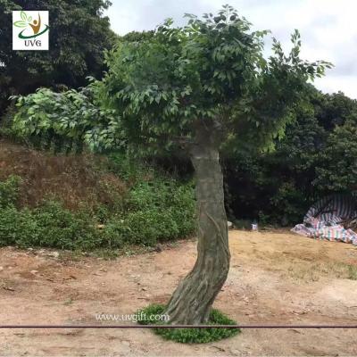 China UVG gaint fake outdoor trees in faux banyan tree leaves for garden ornaments 4 meters high for sale