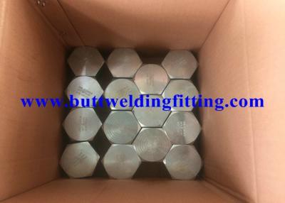 China Forged Steel Pipe Fittings 2” Hexagonal Nipple 3000 PSI NPT Galvanized A105 for sale