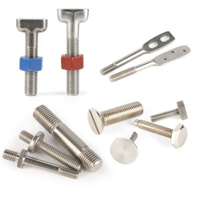 China China Manufacturing Fastener Customized Stainless Steel Special Bolt And Screw for sale