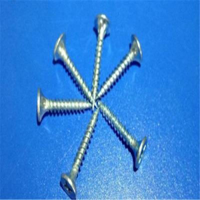 China drywall screw facing Mexico market brass color drywall screw for sale